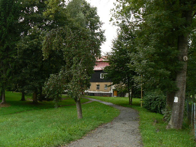 kolka zvtit